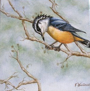 Painting titled "Red-Breasted Nuthat…" by Victoria Wallace, Original Artwork