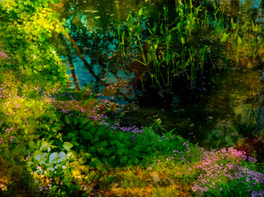 Φωτογραφία με τίτλο "Monet Garden" από Viet Ha Tran, Αυθεντικά έργα τέχνης, Χειρισμένη φωτογραφία
