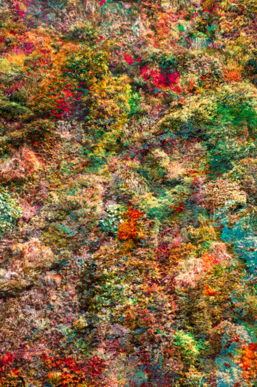Fotografie getiteld "Wall of Nature LXIX" door Viet Ha Tran, Origineel Kunstwerk, Digitale fotografie