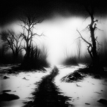 Digital Arts titled "Frozen Echoes Path" by View From The Grave, Original Artwork, Photo Montage