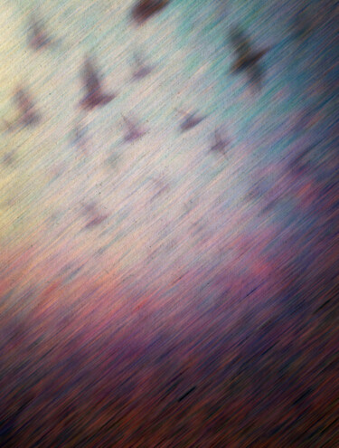 Photography titled "Flying birds" by Viktor Artemev, Original Artwork, Digital Photography