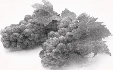 Grafika cyfrowa / sztuka generowana cyfrowo zatytułowany „bunch of grapes” autorstwa Viktoriay Bozhko, Oryginalna praca, 2D…