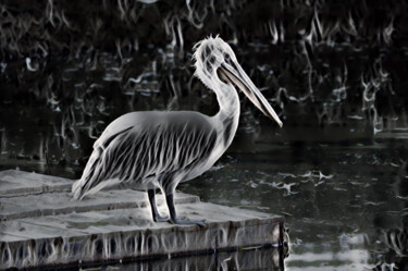 Arte digitale intitolato "pelican hunting per…" da Viktoriay Bozhko, Opera d'arte originale, Lavoro digitale 2D