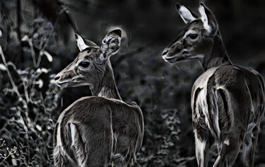 Arte digitale intitolato "two fawns" da Viktoriay Bozhko, Opera d'arte originale, Lavoro digitale 2D