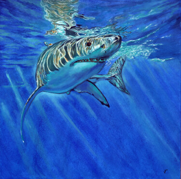绘画 标题为“The shark.” 由Viktoriya Filipchenko, 原创艺术品, 油 安装在木质担架架上