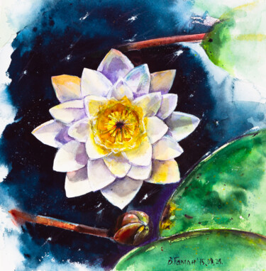 Pintura intitulada "Water lily. Waterco…" por Viktoriia Gaman, Obras de arte originais, Aquarela