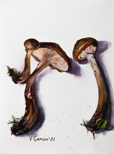 Painting titled "Honey mushrooms. Bo…" by Viktoriia Gaman, Original Artwork, Watercolor