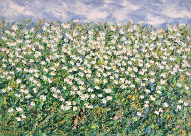 Painting titled "Chamomile Flowers F…" by Vilma Gataveckiene, Original Artwork, Oil