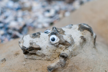 Photographie intitulée "Chien de Plage" par Vincent Marit, Œuvre d'art originale