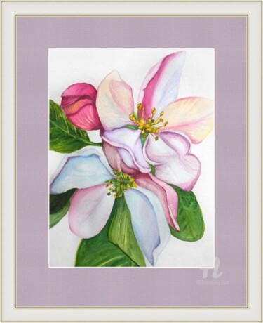 Painting titled "Apple flower - wate…" by Violetta Golden, Original Artwork, Watercolor