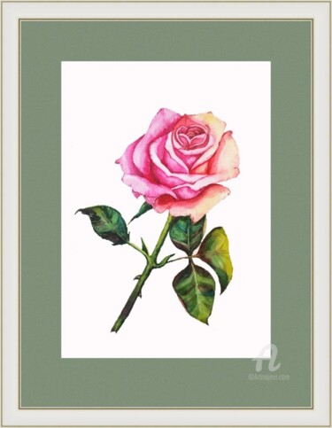 Pintura intitulada "Garden Rose - flora…" por Violetta Golden, Obras de arte originais, Aquarela