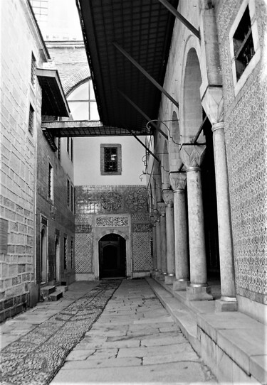 Fotografía titulada "Behind the door" por Virginie B, Obra de arte original, Fotografía analógica