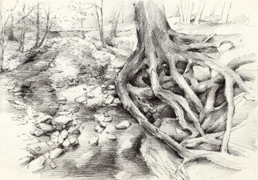 Desenho intitulada "Roots and silent fo…" por Adriana Mueller, Obras de arte originais, Tinta
