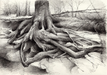 Drawing titled "Roots and silent fo…" by Adriana Mueller, Original Artwork, Ink