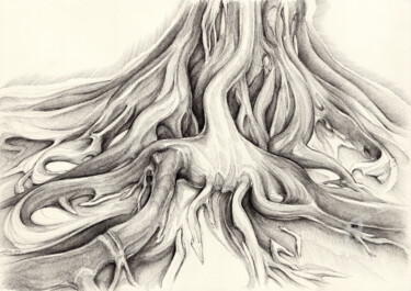 Tekening getiteld "Ficus Macrophylla II" door Adriana Mueller, Origineel Kunstwerk, Inkt