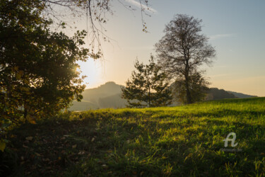 Photographie intitulée "Green meadow and go…" par Adriana Mueller, Œuvre d'art originale, Photographie numérique