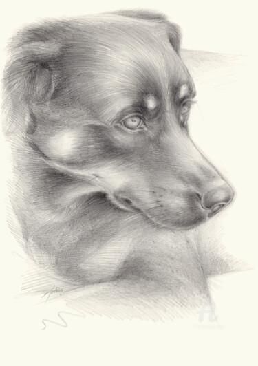 Dessin intitulée "Diana 1, dog portra…" par Adriana Mueller, Œuvre d'art originale, Crayon