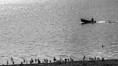 Фотография под названием "birds are watching" - Vladoyan, Подлинное произведение искусства, Цифровая фотография