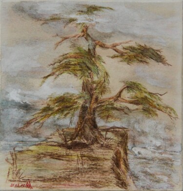 Malarstwo zatytułowany „21, Pine, on the wa…” autorstwa Volodymyr Chukhas, Oryginalna praca, Ołówek