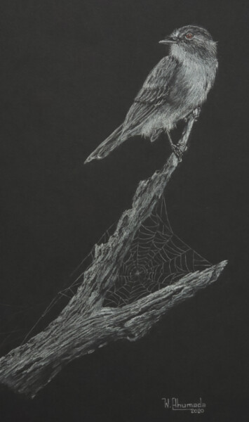 Zeichnungen mit dem Titel "Fly Cast" von Walter Ahumada, Original-Kunstwerk, Bleistift
