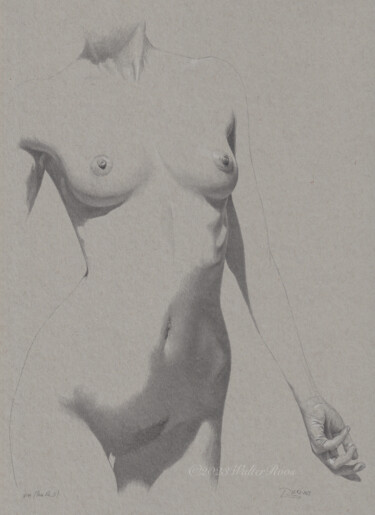 图画 标题为“"Pose Nr. 21 (18:49…” 由Walter Roos, 原创艺术品, 铅笔