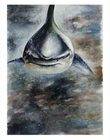 Malarstwo zatytułowany „shark-1.jpg” autorstwa Robert Décurey, Oryginalna praca, Akwarela