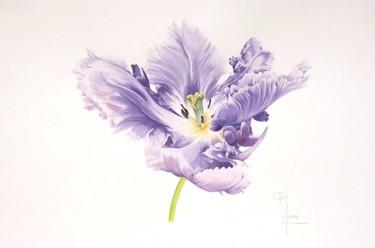 Peinture intitulée "Tulipe perroquet" par Christophe Moreau, Œuvre d'art originale, Aquarelle