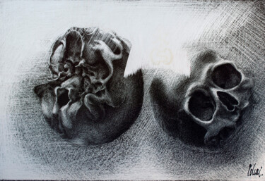 제목이 "Zwei Totenköpfe"인 미술작품 Werner Schaile로, 원작, 잉크