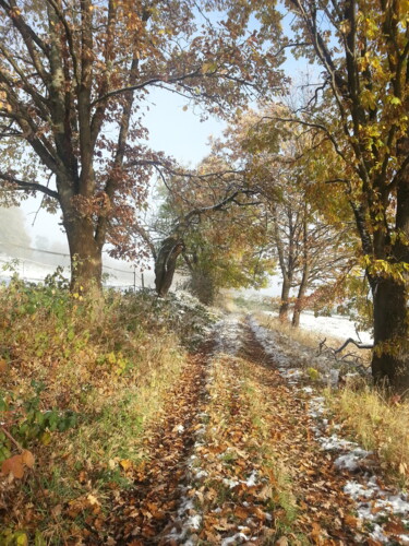 Fotografia intitolato "Herbstschnee 2" da Asupta, Opera d'arte originale, Fotografia digitale