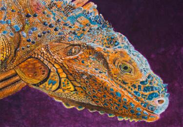 제목이 "Iguana II"인 미술작품 Wilfredo Rolando Shimura Sakazaki로, 원작, 수채화