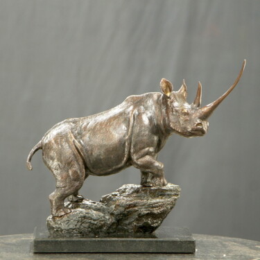 제목이 "Waiwai, Black Rhino"인 조형물 Willem Botha로, 원작, 청동