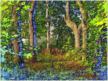 Digital Arts titled "пейзаж  landscape 6…" by Dima Wilms, Original Artwork, Manipulated Photography