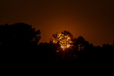摄影 标题为“sunset with trees i…” 由Xan Gasalla González-Redondo, 原创艺术品, 非操纵摄影