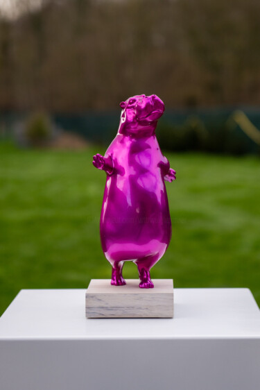 Escultura intitulada "La demoiselle Hippo" por Xavier Wttrwulghe, Obras de arte originais, Resina