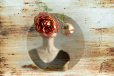 Fotografia intitulada "Falling Rose #3" por Xidong Luo, Obras de arte originais, Fotografia digital