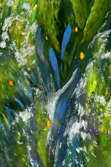 Fotografia intitulada "Les feuilles bleues" por Yabé, Obras de arte originais, Fotografia digital