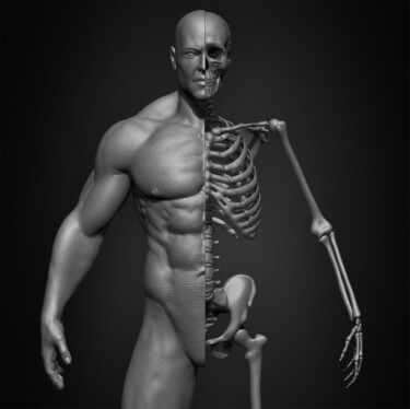 "Human Skeleton Male…" başlıklı Dijital Sanat Yacine Brinis tarafından, Orijinal sanat, 3D modelleme