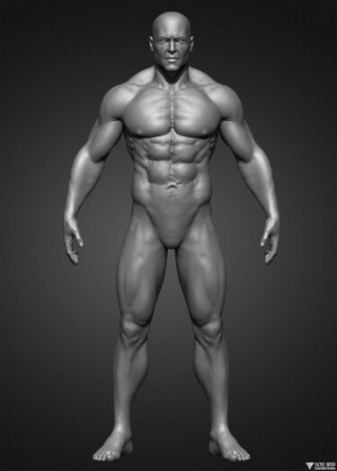Digital Arts titled "Realistic male anat…" by Yacine Brinis, Original Artwork, 3D Modeling