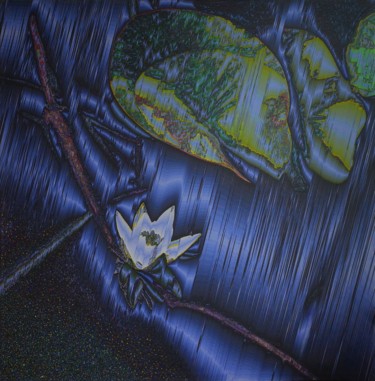 Arte digitale intitolato "Wild lily" da Svitlana Yatsenko, Opera d'arte originale, Pittura digitale