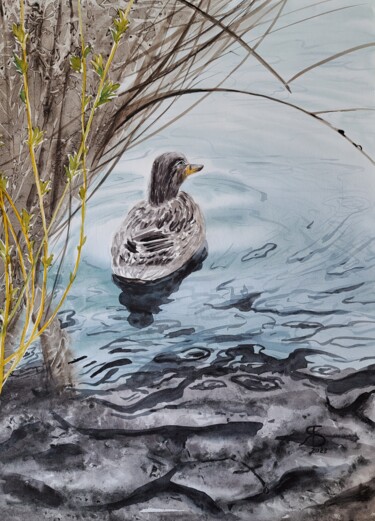Ζωγραφική με τίτλο "Duck on the lake" από Yana Bila, Αυθεντικά έργα τέχνης, Ακουαρέλα