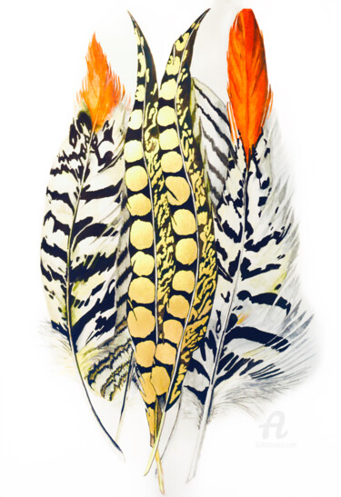 Malarstwo zatytułowany „Feathers of pheasant” autorstwa Yana Yushkova, Oryginalna praca, Akwarela