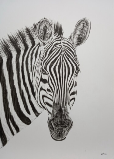 Peinture intitulée "Zebra" par Yaroslav Teslenko, Œuvre d'art originale, Huile