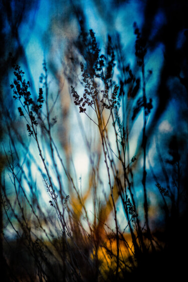 Fotografia zatytułowany „Blue Mood” autorstwa Yasmina Baggili, Oryginalna praca, Fotografia cyfrowa