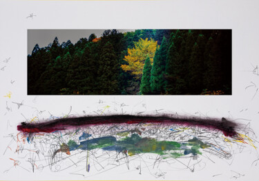 Photographie intitulée "Turbulence in Kyoto…" par Yasuo Kiyonaga, Œuvre d'art originale, Photographie numérique Monté sur Ca…