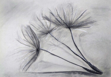 Zeichnungen mit dem Titel "Dandelion Fluff" von Yelena Rybalkina, Original-Kunstwerk, Kohle