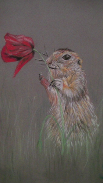 Dessin intitulée "MARMOTTE ROMANTIQUE" par Yolande Thierry, Œuvre d'art originale, Pastel