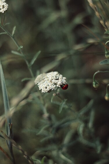 Photographie intitulée "Summer Vibe" par Liza Glagoleva, Œuvre d'art originale, Photographie numérique