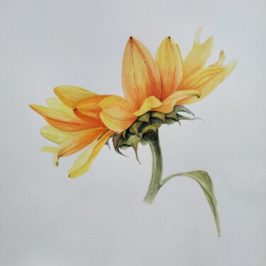 Painting titled "Sunflower" by Yulia Zhevnova, Original Artwork, Watercolor