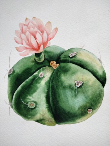 Painting titled "Cactus" by Yulia Zhevnova, Original Artwork, Watercolor