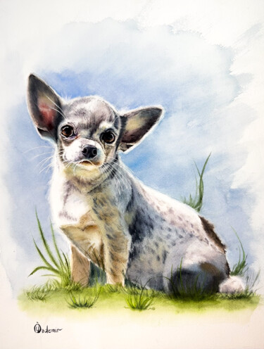 Painting titled "Chihuahua portrait" by Yuliya Ozdemir, Original Artwork, Watercolor
